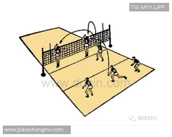 排球战术深度解析：上海排球队的成功之道与背后策略揭秘